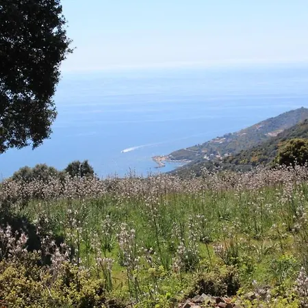 Paomia Holiday home *