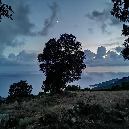 Paomia * Cargese
